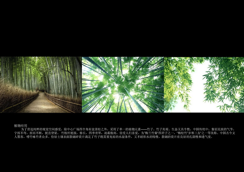 汪杰 瓷源 北京園博會(huì) 設(shè)計(jì)師廣場 競賽 獲獎(jiǎng) 中國風(fēng)景園林網(wǎng)
