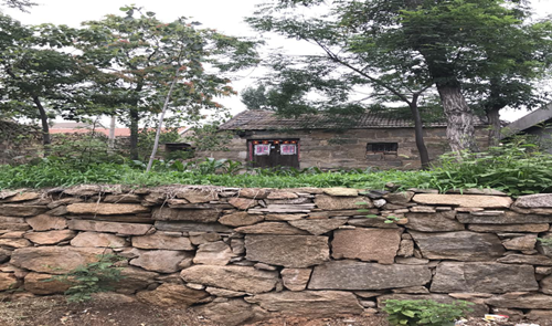 郗金標(biāo)：養(yǎng)生小院——農(nóng)村全面振興的模式探索